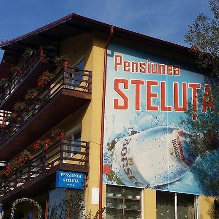 Pensiunea Steluta Predeal Exterior photo